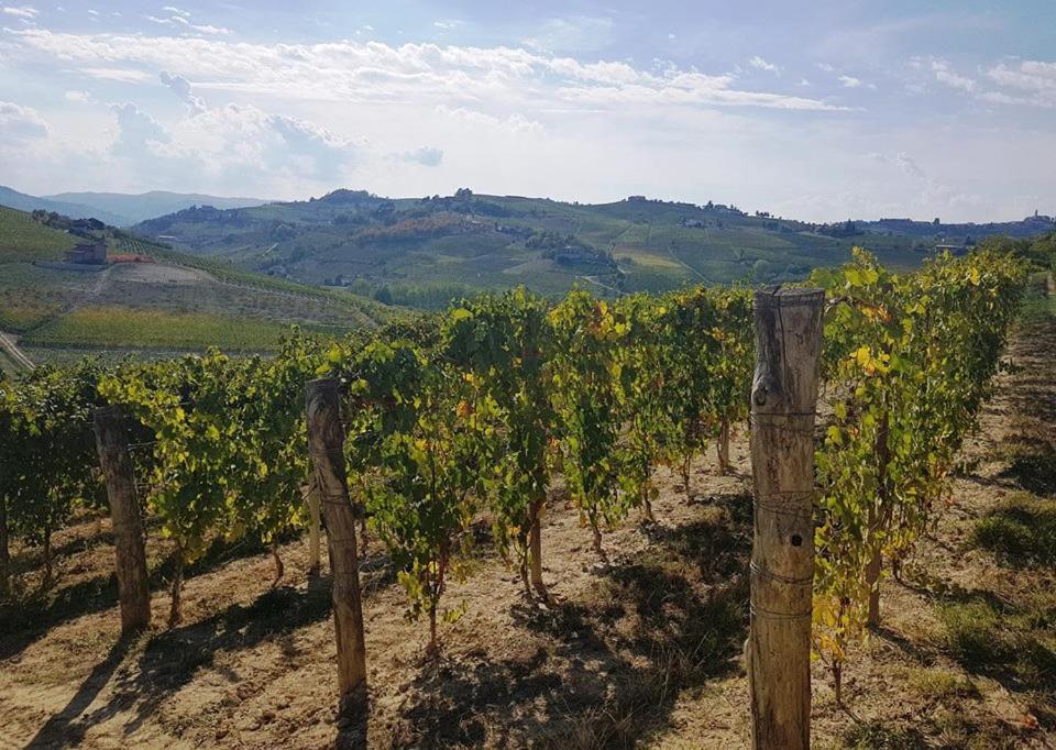 Agriturismo Vecchio Torchio Канели Екстериор снимка